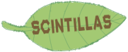 Scintillas